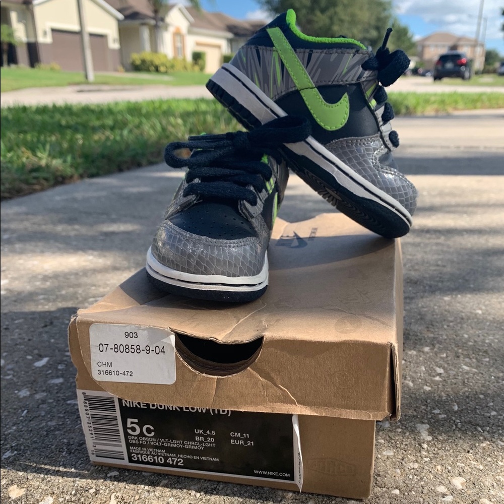 Baby 5C Nike Dunk Low
